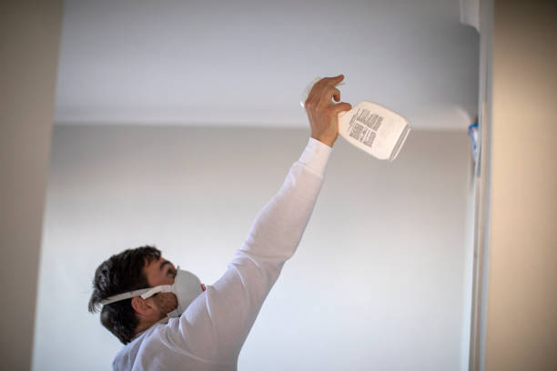 Best Black Mold Removal  in Orchard Grass Hills, KY